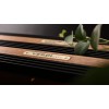 Amply Abyss VERDI evo+ 2 channel