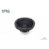Loa Center STEG SFF3