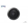 Loa Center STEG SFF3