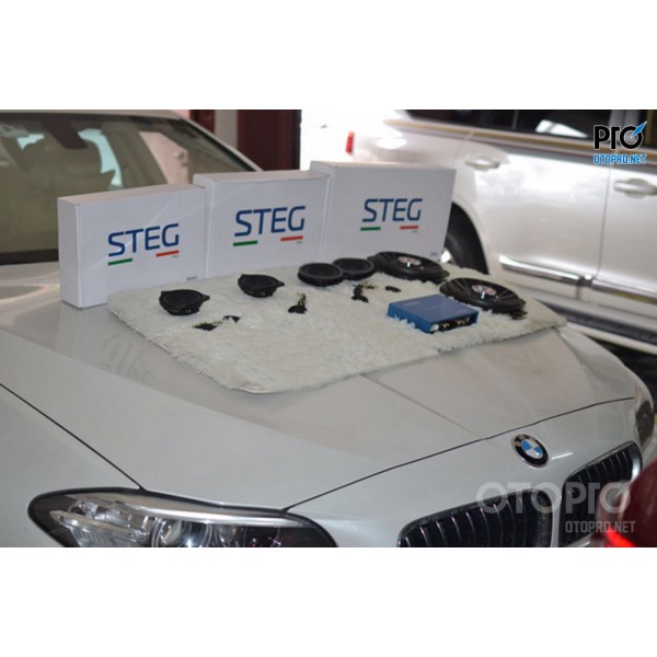 Độ loa BMW 525 với cấu hình âm thanh loa STEG