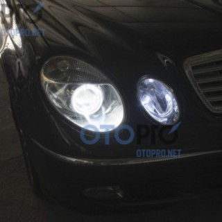 Độ đèn bi xenon, angel eyes LED cho xe Mercedes E240