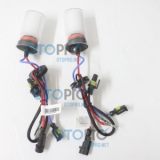 Bóng đèn Xenon H11 4300K cho xe Ford Escape
