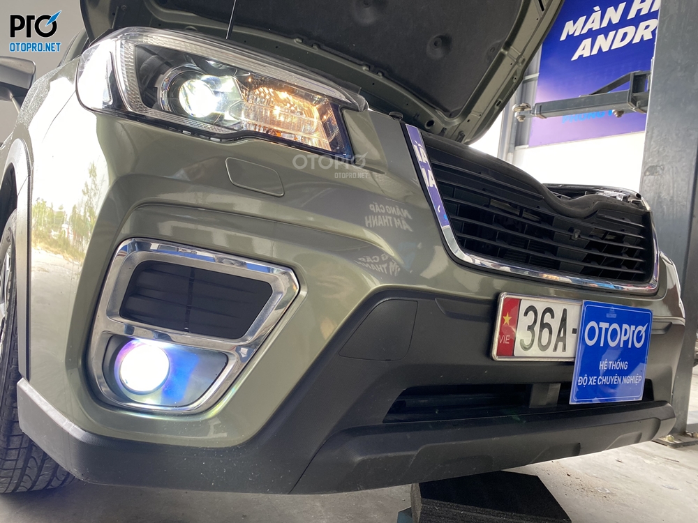 Độ đèn Subaru Forester 2019 với đèn bi gầm LED EAGLE F - LIGHT AOZOOM
